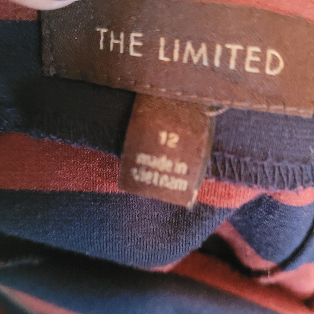 The Limited brown and blue striped skirt. - Picture 4 of 10